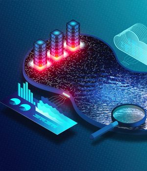 data services